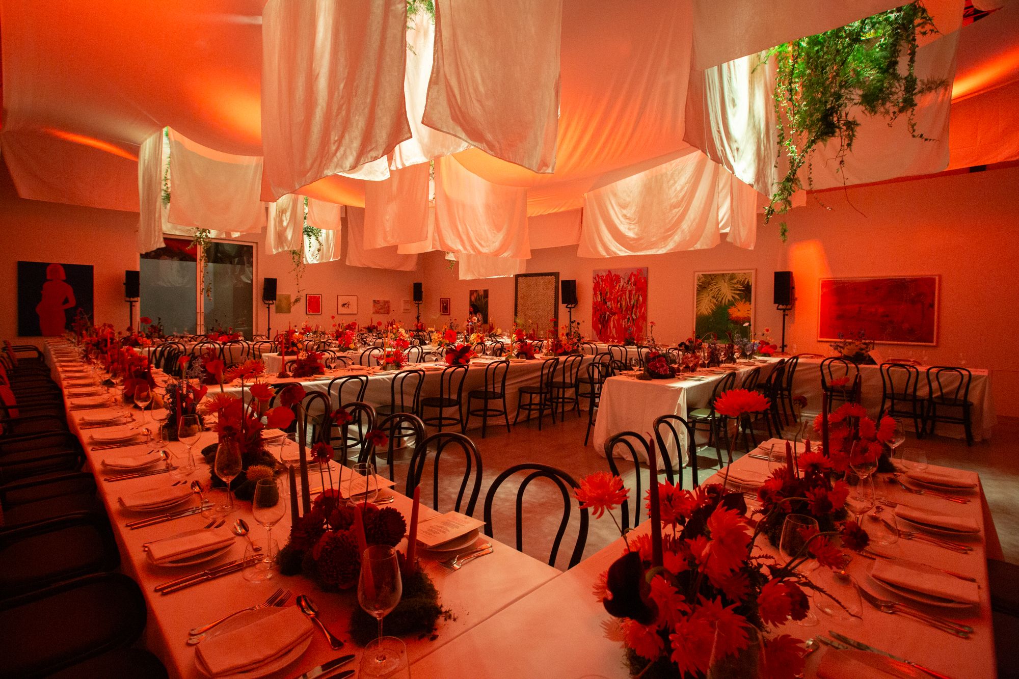 Free Free UK launch gala at Ladbroke Hall, London